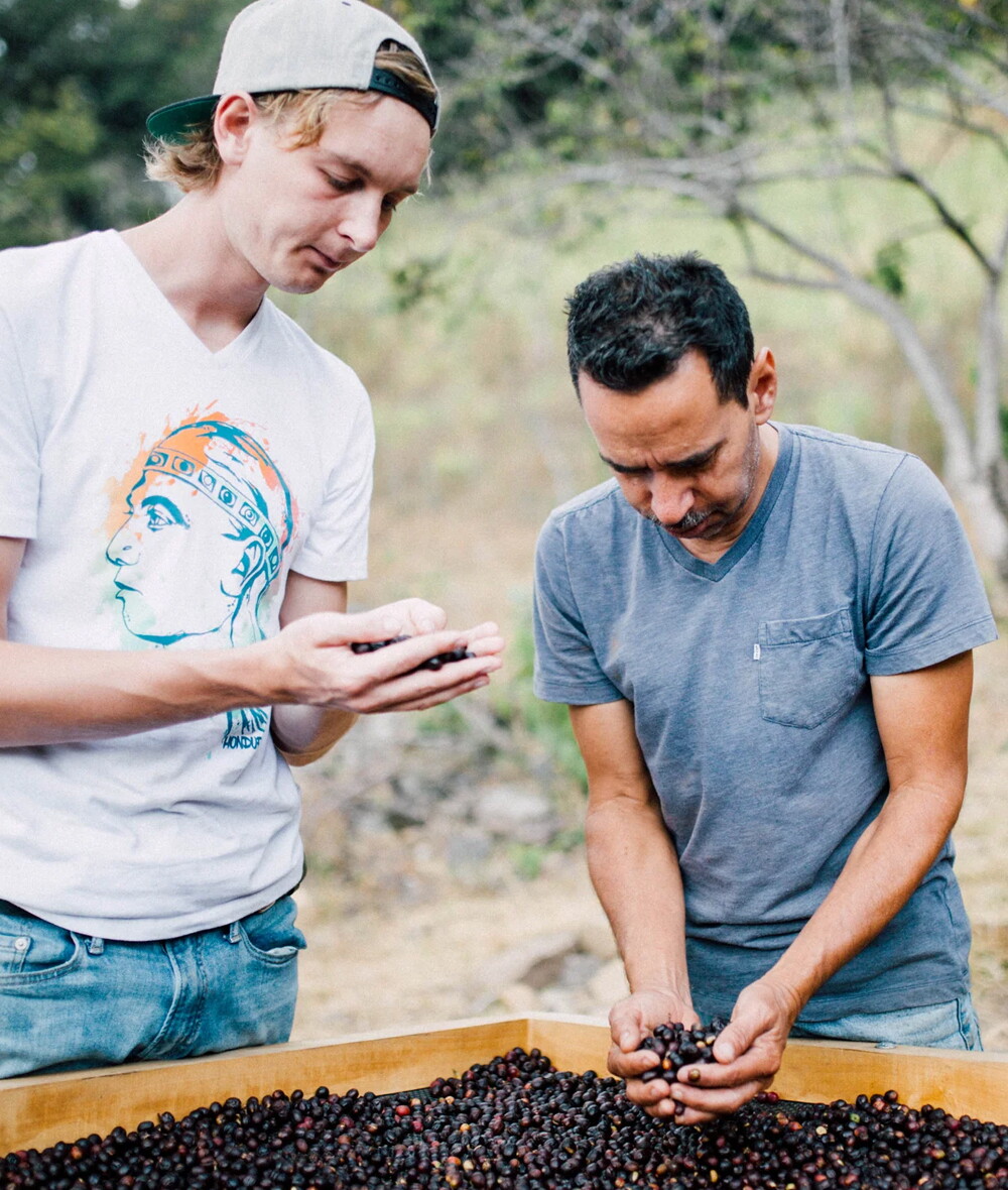 Paso Paso - Bram met een koffieboer koffiebonen controleren op kwaliteit