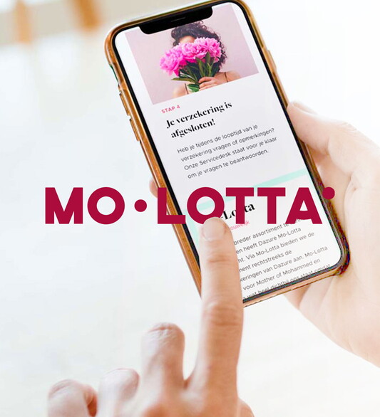 Case overzicht Mo-Lotta